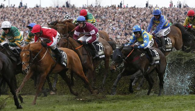 Widen the place terms for the Grand National with a maximum 7 Places using Each Way Edge 